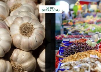 FT : Harga Bawang Putih Kini naik dengan harga rata-rata nasional Rp 42.940 perkilogram-nya/sc : aye/cnv