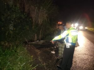 Gaes !!! Hilang Kendali, Pasutri Alami Laka Maut di Pujon