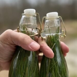 Gaes !!! Ada Soda Alami dari Daun Pinus