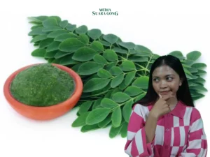 Gaes !!! Ini Fakta Seputar Manfaat Daun Kelor