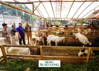 Harga Kurban Meroket, Daya Beli Menurun (Media Suaragong)