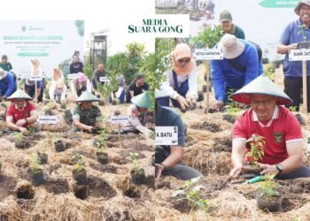 Acara Tanam Cabai Bersama PJ Wali Kota Batu/ft : nif