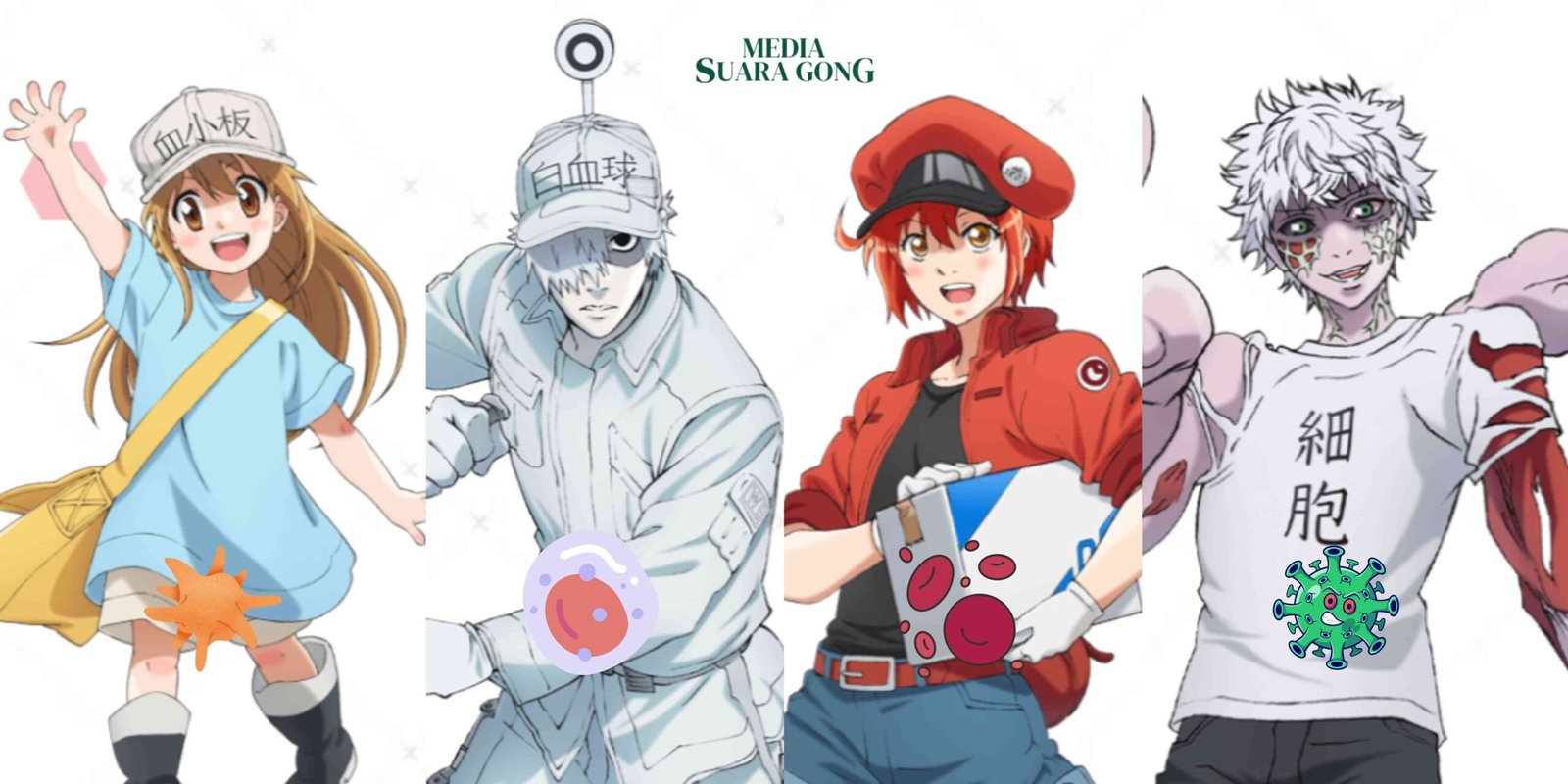 FT : Cells At Work/Web : Cells At Work