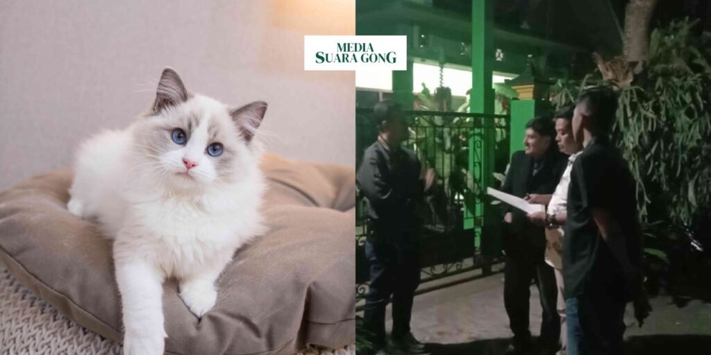 Gaes !!! Viral Kucing Disiksa dan Dipaku Hingga Tewas Di Malang