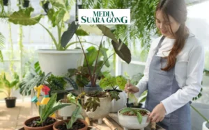 Gaes !!! Trend Terbaru ”Plant Parenthood”