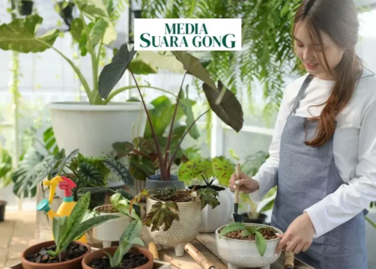 Trend Terbaru ”Plant Parenthood” (Media Suaragong)