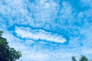 Gaes !!! Fenomena Awan Berlubang Mirip Ubur-Ubur di Jember