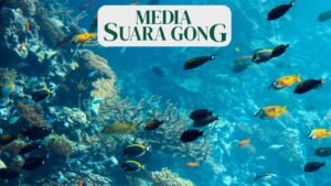 Gaes !!! Hari Laut Sedunia 8 Juni, Ini dia Sejarahnya