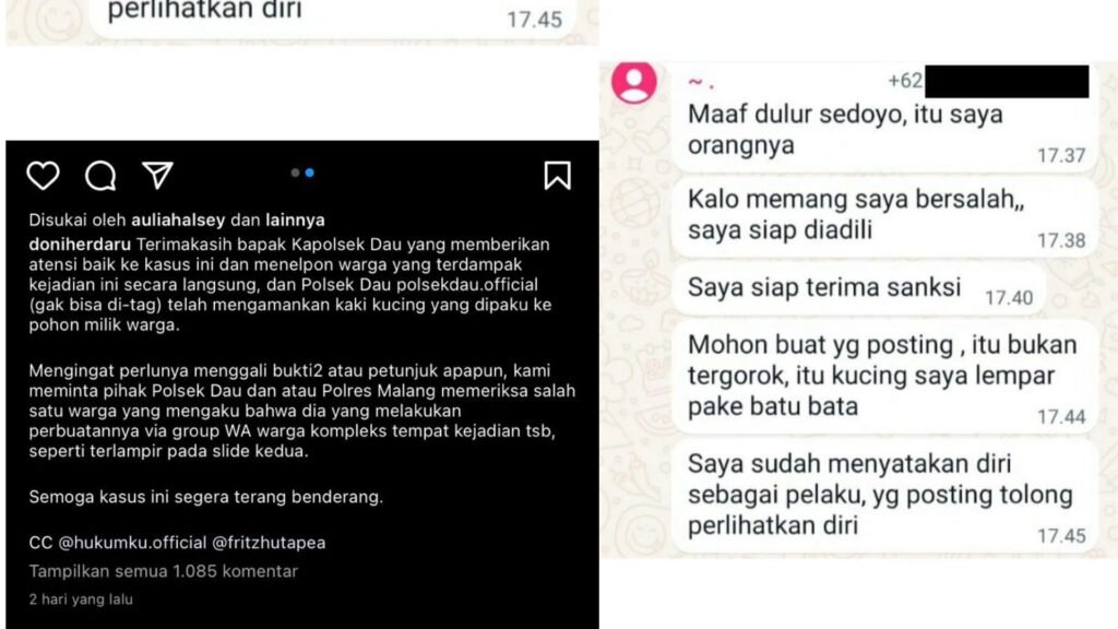 Gaes !!! Beredar Pesan Diduga dari Pelaku Pemaku Kucing di Malang