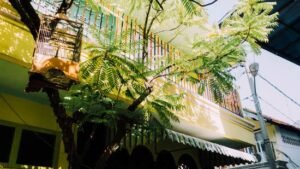 Gaes !!! Sejarah Kampung Tua Peneleh Surabaya