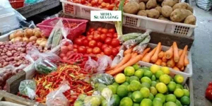 Gaes !!! Harga Bahan Pokok di Lumajang Stabil