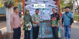 Gaes !!! Bantuan Pupuk untuk Petani Tembakau di Lumajang