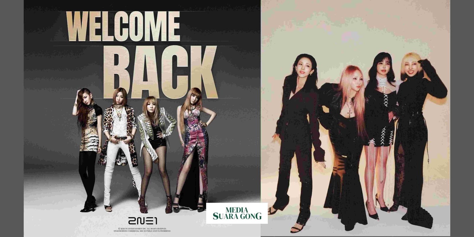 2NE1 Reuni