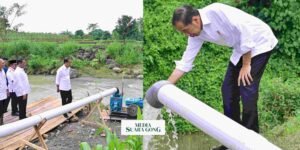 Gaes !!! Presiden & Mentan Optimis Produksi Beras Meningkat