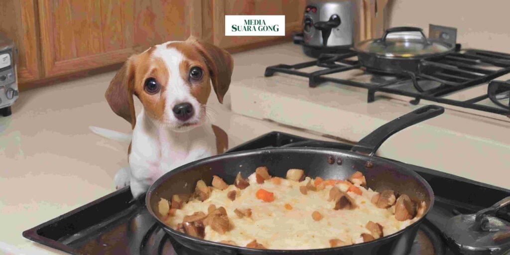 Beberapa negara Konsumsi Daging Anjing
