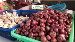 Gaes !!! Bawang Merah Turun, Kota Malang Deflasi 0,36% di Juni 2024