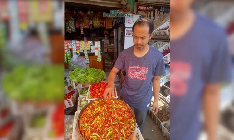 Harga Cabe Rawit Melonjak, Banyak Faktor Penyebabnya (Media Suaragong)