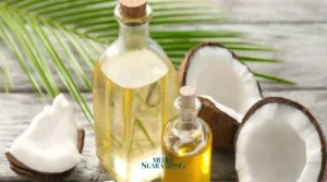 Gaes !!! Minyak Kelapa Menjadi Bahan Bakar Pesawat