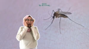 Gaes !!! Virus Oropouche: Ancaman Baru dari Nyamuk