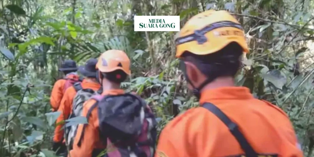 Tim Sar Melakukan Pencarian di Hutan Lumajang