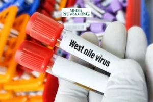 Gaes !!! Wabah West Nile Serang Israel