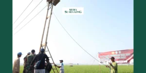 Gaes !!! Pemerintah Lumajang Antisipasi Hama Tikus di Pertanian