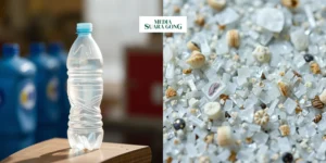 Gaes !!! Dampak Mikroplastik Bagi Kesehatan Tubuh