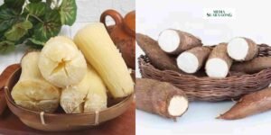 Gaes !!! Kamu Tidak Boleh Makan ini Bareng Singkong Rebus