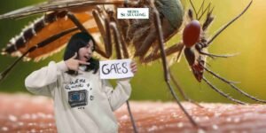 Gaes !!! Trik Sederhana Untuk Mengusir Nyamuk Pergi