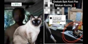 Gaes !!! Bapak Kos di Semarang Kepergok Makan Daging Kucing