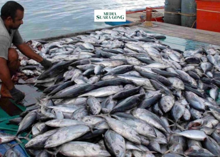 Pelajari tentang bahaya kandungan merkuri yang tinggi pada beberapa jenis ikan