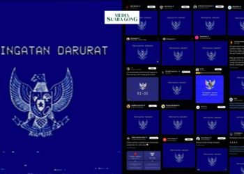 Lambang Garuda Biru Banjiri sosial media, Mulai dari Mahasiswa, Masyarakat Sipil hingga para Selebritas atau Public Figure/sc : Narasi/Pandji/X/Instagram/Asiannews/ds : Aye