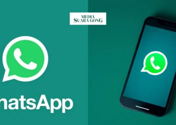 Fitur Tema Baru Whatsapp