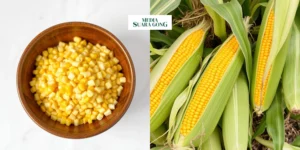 Gaes !!! Manfaat Mengonsumi Jagung Bagi Kesehatan