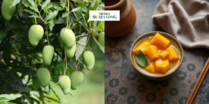 Gaes !!! Manfaat Mangga Bagi Kesehatan