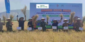 Gaes !!! Program Agrosolution Meningkatkan Panen di Jember