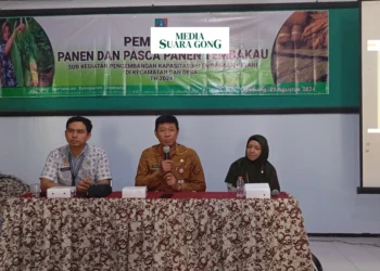 Pembinaan Panen Oleh Dinas Pertanian Jombang