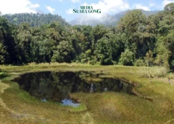 Ranu Tompe, Danau Penuh Misteri Semeru (Media Suaragong)