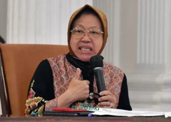 Risma Mundur dari Kabinet Jokowi, Berapa Ya Uang Pensiunnya? (Media Suaragong)