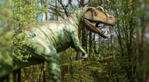 Gaes !!! T-Rex Ternyata Lebih Gede dari yang Kita Kira