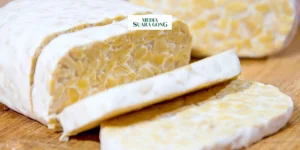 Gaes !!! Manfaat Tempe Bagi Kesehatan