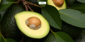 Gaes !!! Jaga Kesehatan Hati dengan Beberapa Makanan Ini