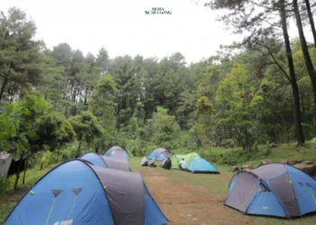 Gunung Pancar di Sentul, Bogor, mengalami penurunan jumlah pengunjung karena pungutan liar, Wisatawan mengeluhkan pungli di berbagai titik.