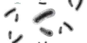 Gaes !!! Kemenkes Ungkap Bakteri yang Kebal Terhadap Antibiotik