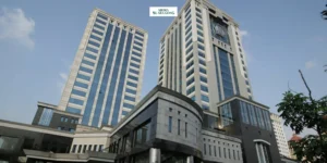 Gaes !!! Sri Mulyani Teken MLI STTR: Indonesia Perkuat Sistem Perpajakan Internasional