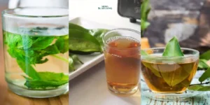 Gaes !!! Jamu Herbal untuk Kolesterol & Tekanan Darah Tinggi