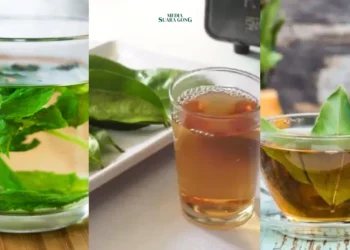 Jamu Herbal untuk Kolesterol & Tekanan Darah Tinggi