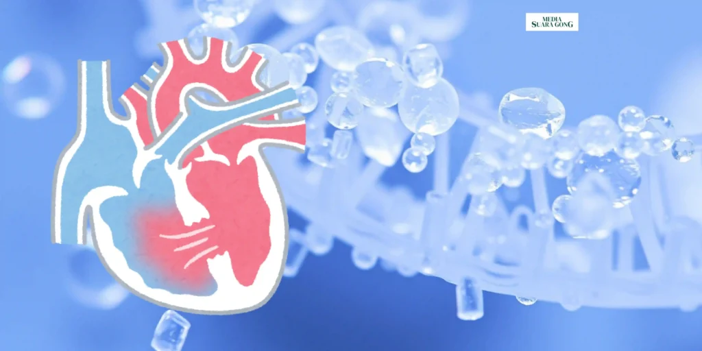 Gaes !!! Penemuan Mikroplastik di Jantung Manusia Mengejutkan Dunia Medis