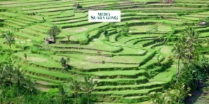 Gaes !!! Indonesia: Melepas Status Negara Agraris