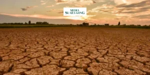 Gaes !!! Konservasi Sumber Air, Solusi Kekeringan di Lumajang